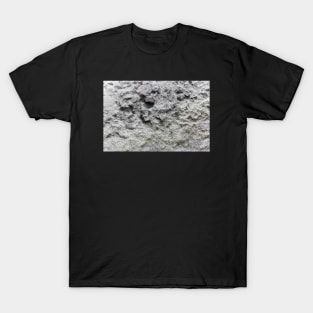 Rough Stone Etched Wall Surface T-Shirt